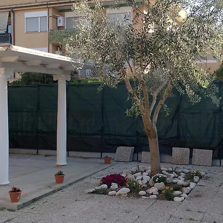 Stella Marina * טורביאניקה